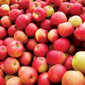 Украинская компания «Сады Днепра» модернизирует линию сортировки яблок
