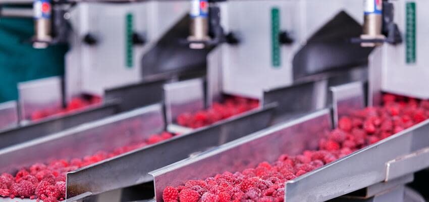 Организация ягодного бизнеса и нюансы при реализации продукции
