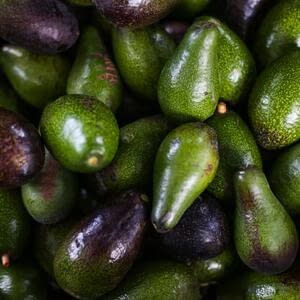 Итоговые цифры по экспорту авокадо из Перу