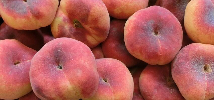 В  Молдове инжирные персики оказывают влияние на рыночные цены на персики других сортов