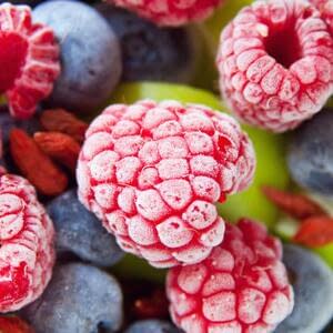 Нюансы бизнеса по заморозке фруктов, ягод, овощей, грибов и зелени