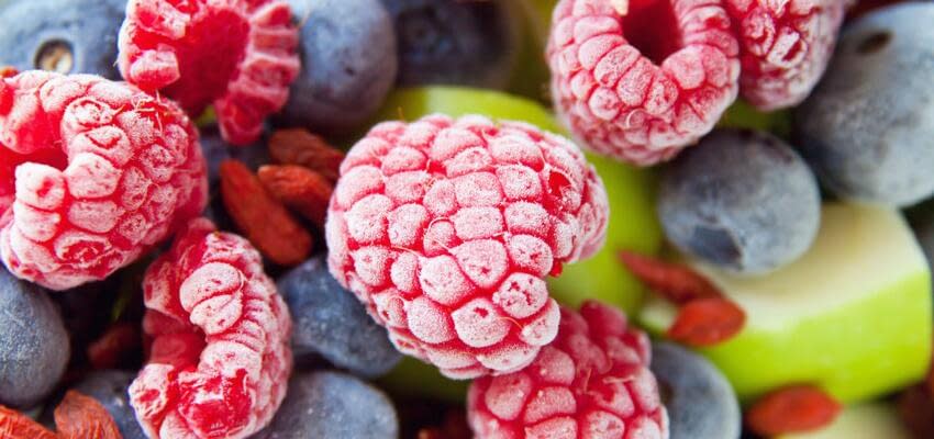 Нюансы бизнеса по заморозке фруктов, ягод, овощей, грибов и зелени