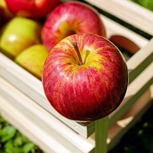 В Украине цены на яблоки упали в 2,2 раза