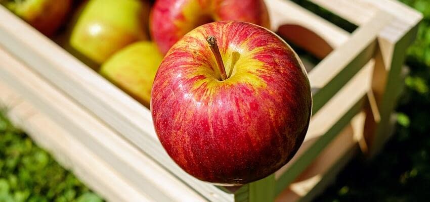 В Украине цены на яблоки упали в 2,2 раза