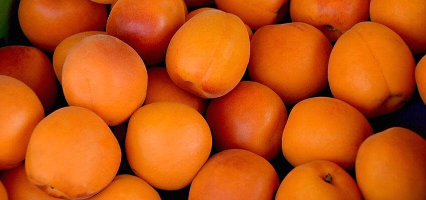 Молдова подготовила первую партию абрикосов на экспорт