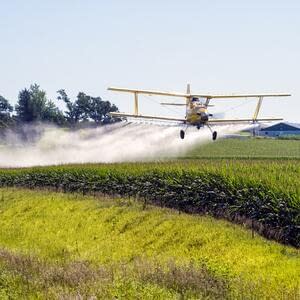 Пестициды и агрохимикаты под контролем Россельхознадзора
