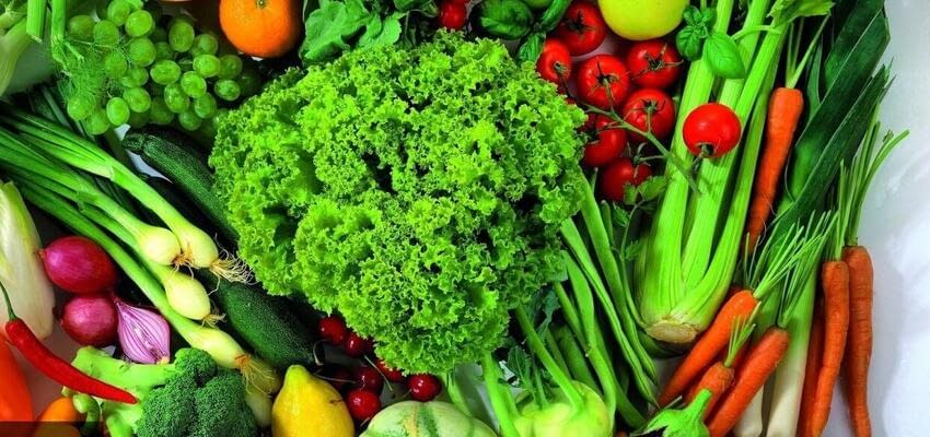 В России вводится маркировка «зелёной» сельскохозяйственной продукции
