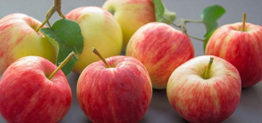 Подорожание основных сортов яблок на 5-й неделе 2021 года