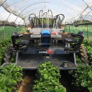 Робот Agrobot SW6010 для сбора садовой земляники прошел испытания