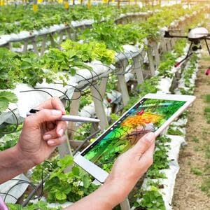 Инновации в садоводстве: точное земледелие