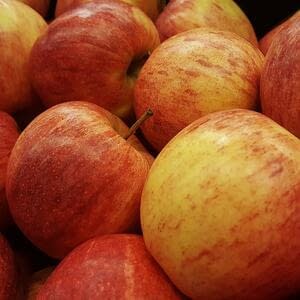 На рынках России появились первые партии яблок сорта «Гала»