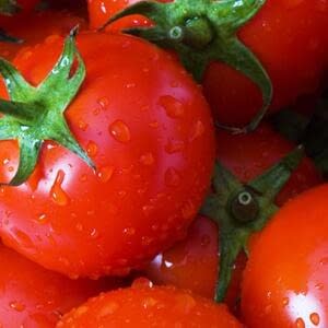 Повышение пользы томатов благодаря экстремальной обработке