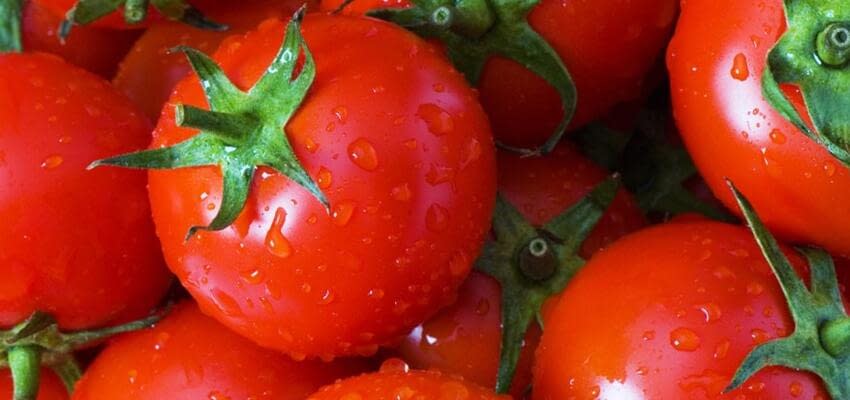 Повышение пользы томатов благодаря экстремальной обработке