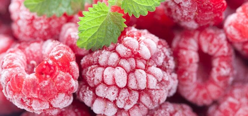 Инновационный метод поддержания формы ягод малины после заморозки