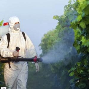 В Швейцарии прошел референдум, на котором отклонили запрет на пестициды