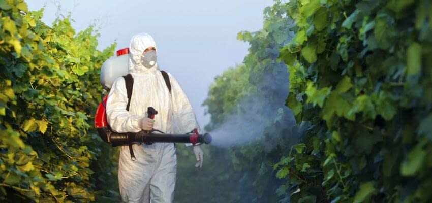 В Швейцарии прошел референдум, на котором отклонили запрет на пестициды