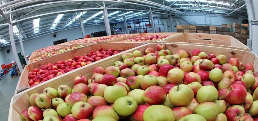 Для продукции компании «КрайСервис» введено в эксплуатацию плодохранилище вместимостью 10 тыс. тонн