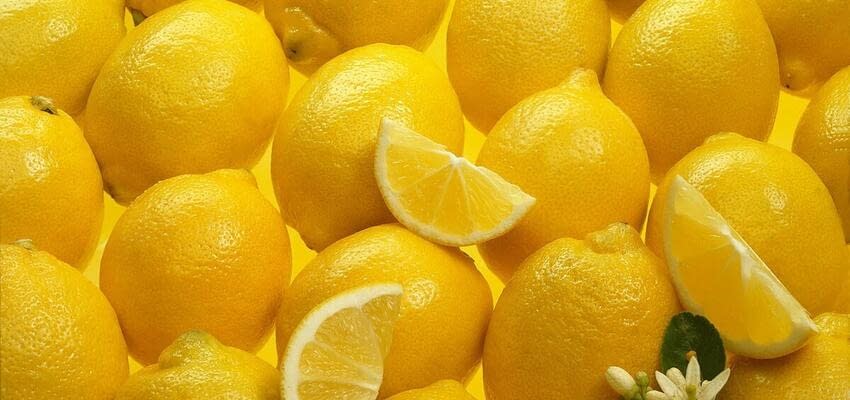 Спрос и цены на лимоны в Европе упали относительно предыдущего года