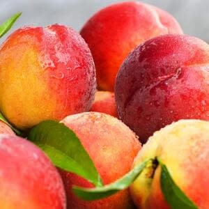 Новое покрытие для фруктов и овощей из Нидерландов позволит увеличить их срок хранения в два раза