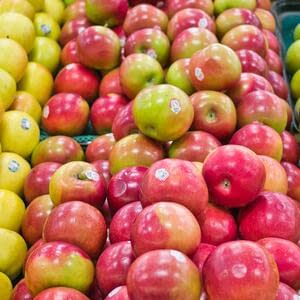 Молдавским производителям яблок придется искать новые рынки сбыта