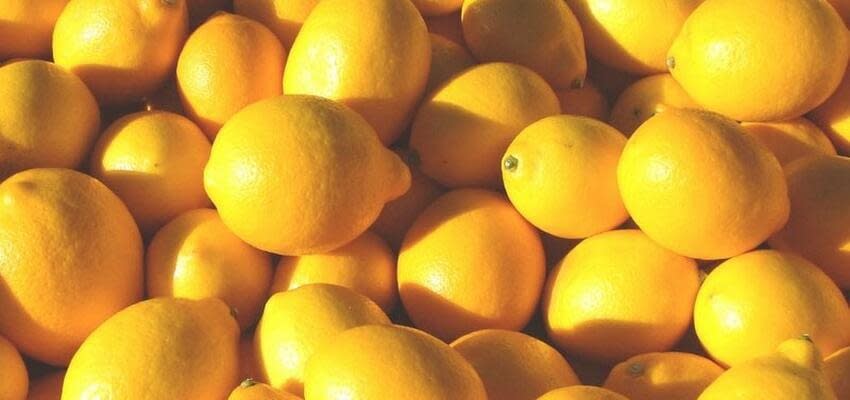 Инфраструктура для хранения таджикских лимонов