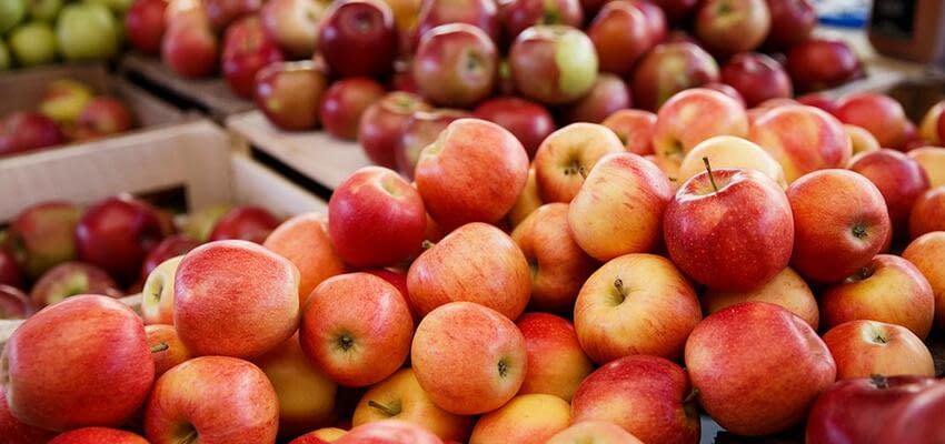 Молдавским экспортерам яблок следует пересмотреть график поставок плодов в сезоне 2021/22