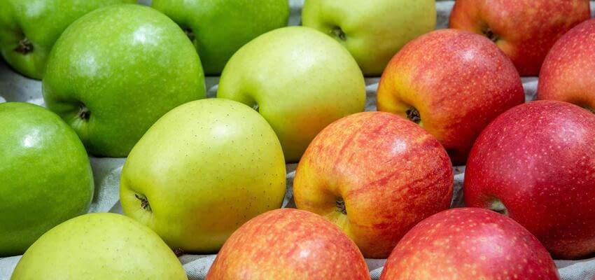 Успешный год для французских производителей яблок