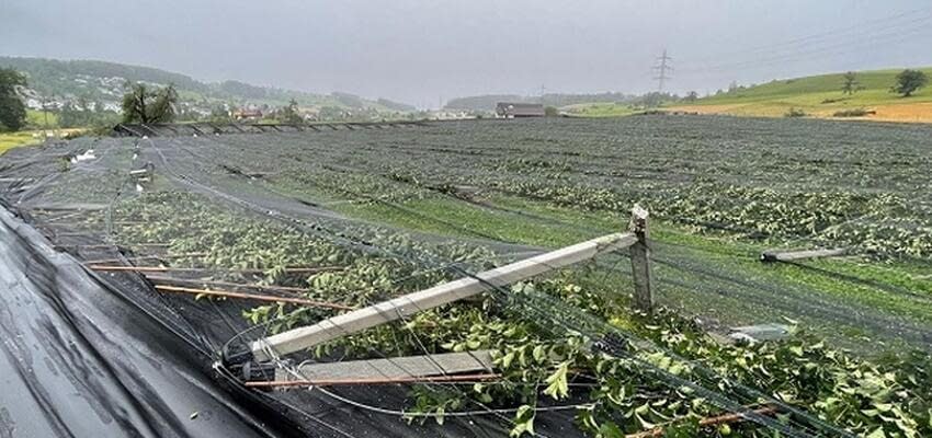 Ураган в Швейцарии уничтожил фруктовые сады