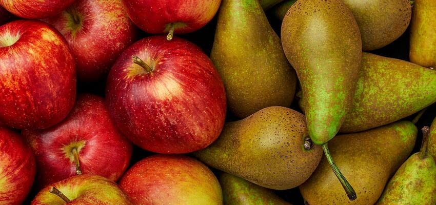 По данным WAPA урожай яблок в странах ЕС увеличится на 10%, а урожай груш сократится на 28%