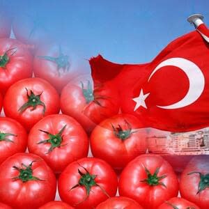 Причины увеличения доли турецких томатов на российском рынке