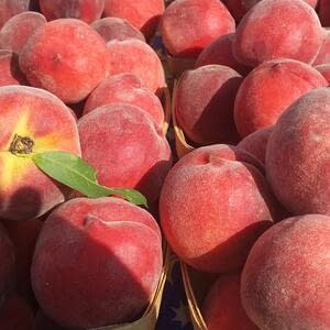Грузия готова к сбору урожая персиков